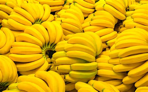 bananatic|Bananatic .